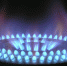 Фото с сайта pixabay.com - Газета Вельские вести