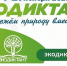 Акция пройдет в онлайн-формате - Газета Вельские вести