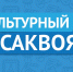 Активное долголетие: проект «Культурный саквояж» предлагает новую программу - Газета Вельские вести