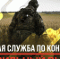 Жителей Архангельской области приглашают на военную службу по контракту - Газета Вельские вести