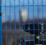 Газификация Архангельской области продолжается - Газета Вельские вести