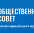 Общественный совет округа. - Вель­ский муни­ципаль­ный район