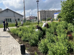 Вторая смена в городе