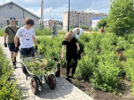 Вторая смена в городе